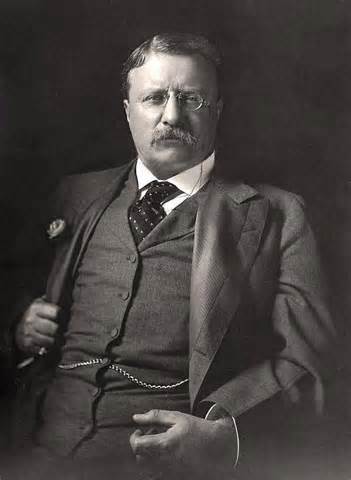 Theodore Roosevelt president for Mckinley