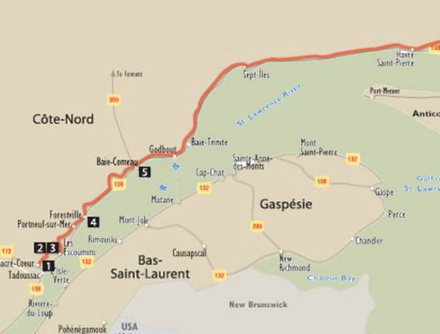 Colonization of new regions