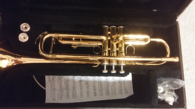 Toqué la trumpeta en la banda de mi escuela intermedia