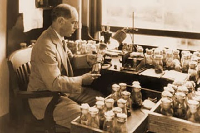 Primer laboratorio fIsiológico