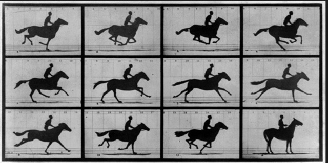 Eadweard Muybridge $25,000 bet