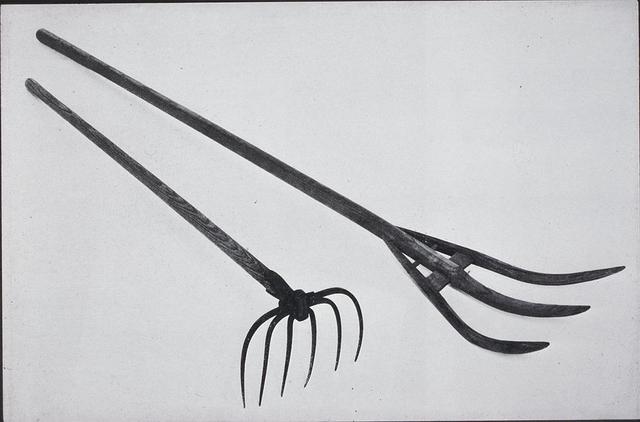 Potato Rake and Hook