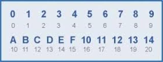 •	Sistema de Numeración Hexadecimal.