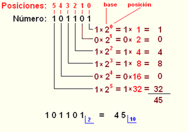 •	Sistema de Numeración Binario.