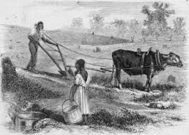 Black codes in southern America