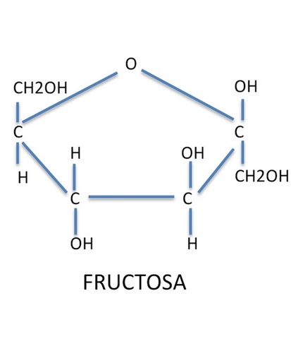 La fructosa