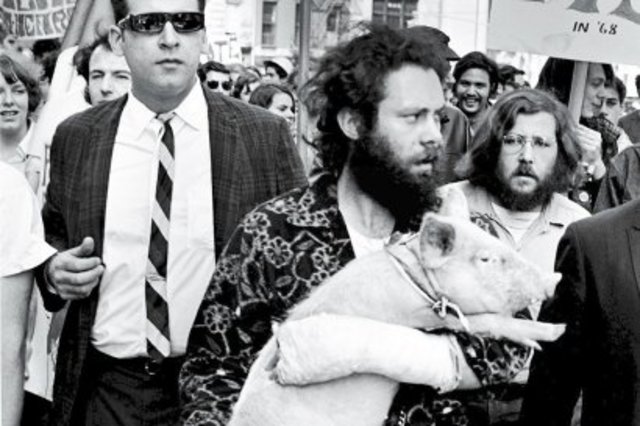 Pigasus runs for President