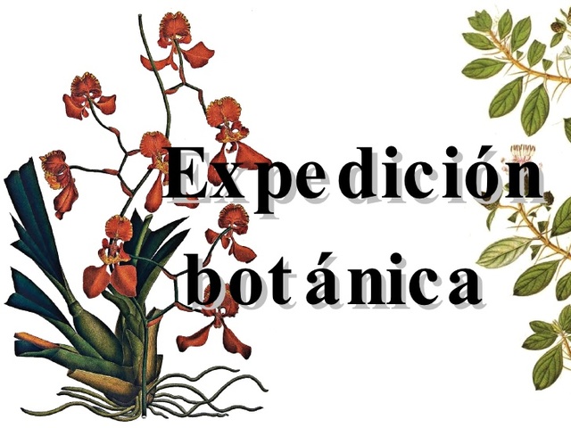 expedicion botanica