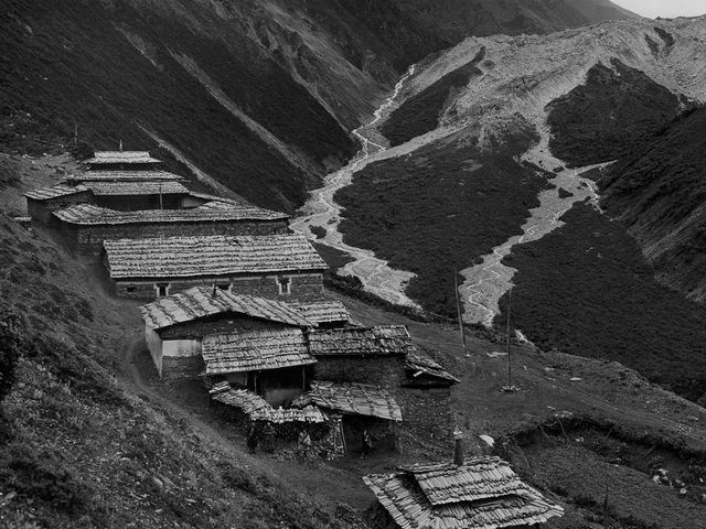 National Geographic Starts using Photos