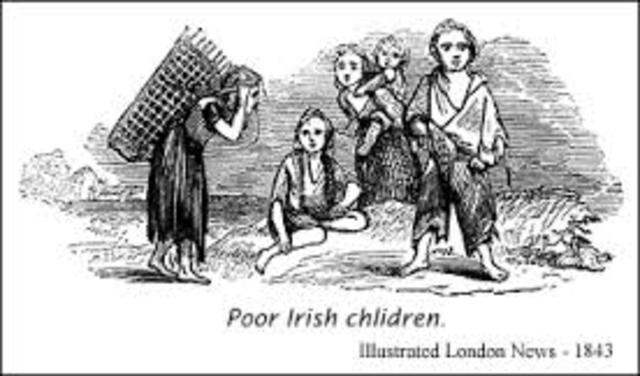 Potato Famine in Ireland