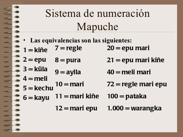 Mapuche 1601-899