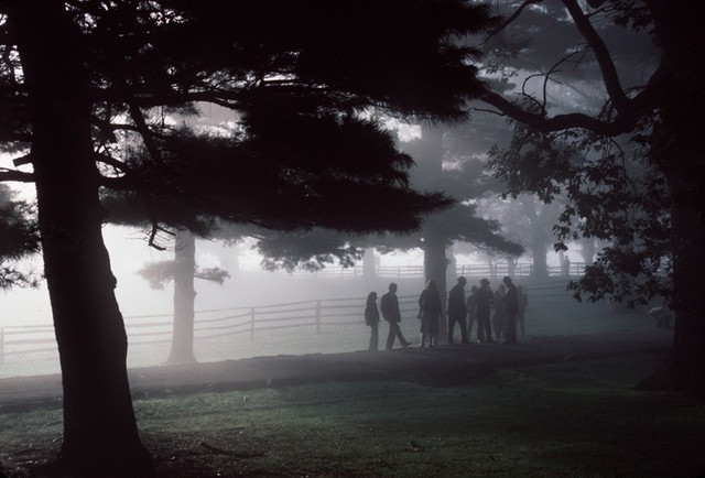 MFA Photography, Video and Related Media program at the School of Visual Arts