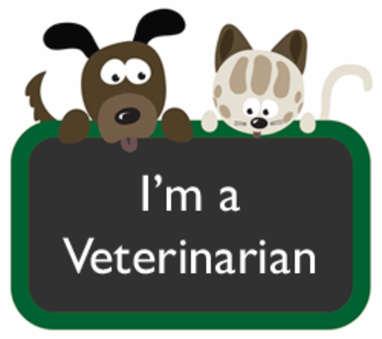 Becoming a veterinarian