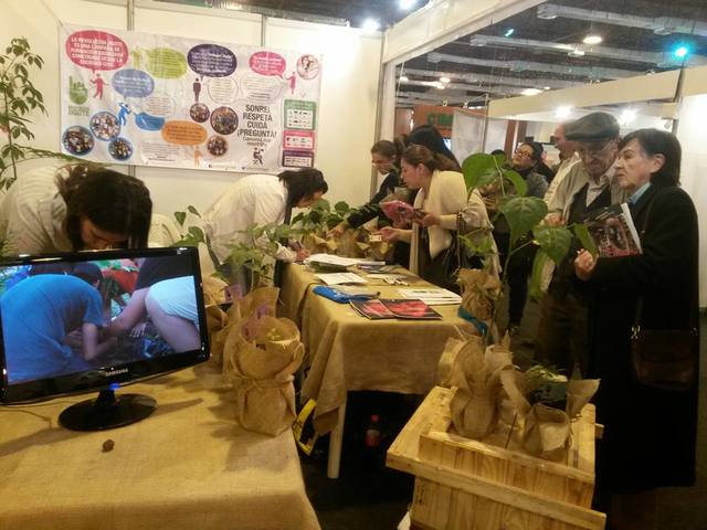 ULTIMO DIA EXPOFOREST