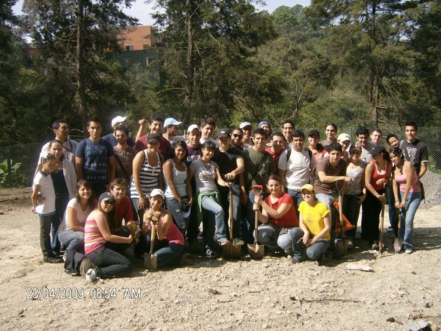 Voluntariado universitario