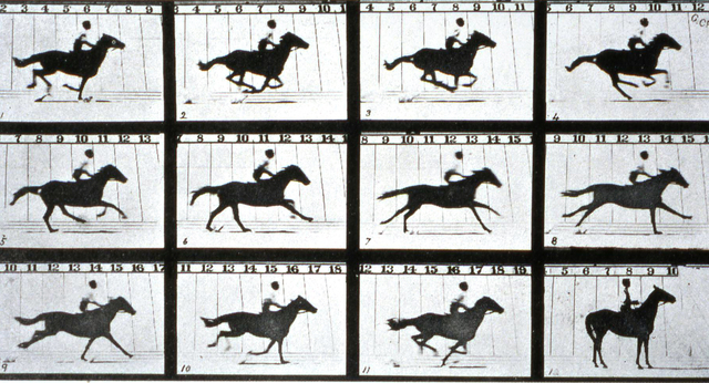 The Muybridge Bet