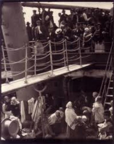 Stielglizos The Steerage,