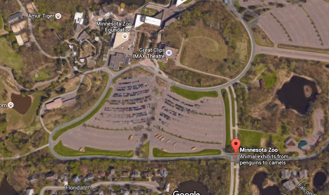 Went to the minnesota zoo