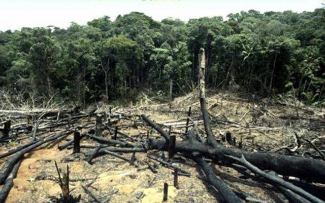 Comisión Mundial sobre el Medio Ambiente y el Desarrollo  (WCED)