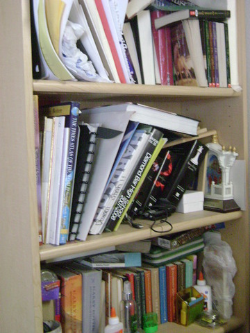 2.3 Evocative Gene Environment Correlation