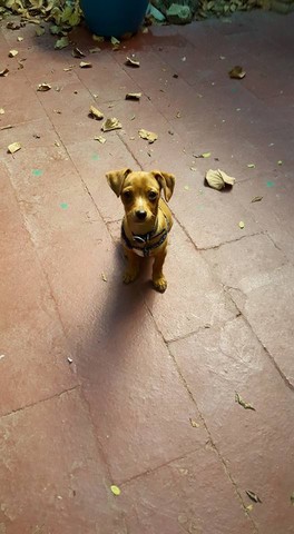 Arlo's first car ride