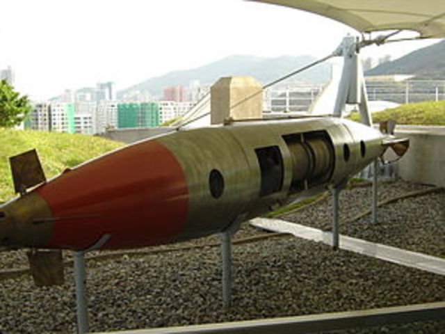 The Brennan Torpedo