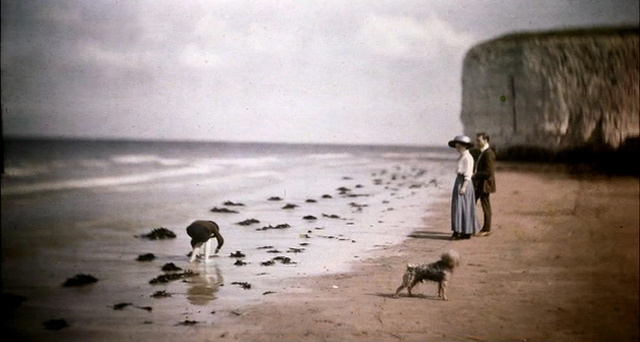 Crean el procedimiento de la placa autocroma