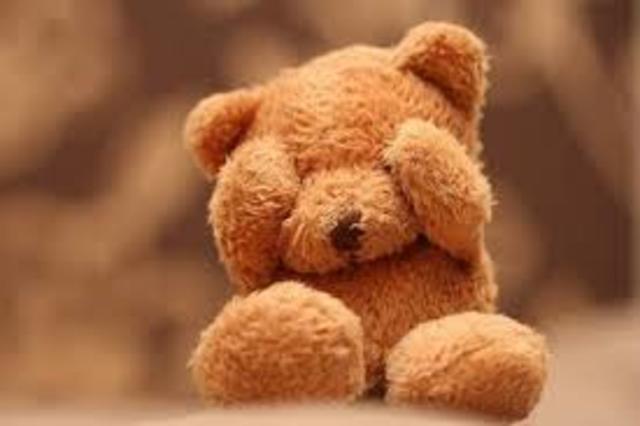 Teddy bear