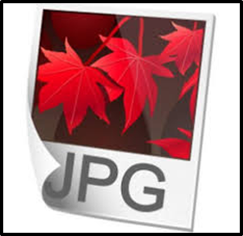 1988 Aparece el formato JPEG