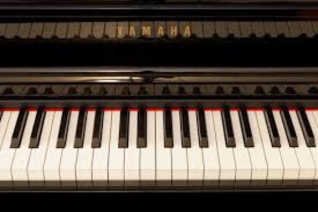 Started taking piano lessons