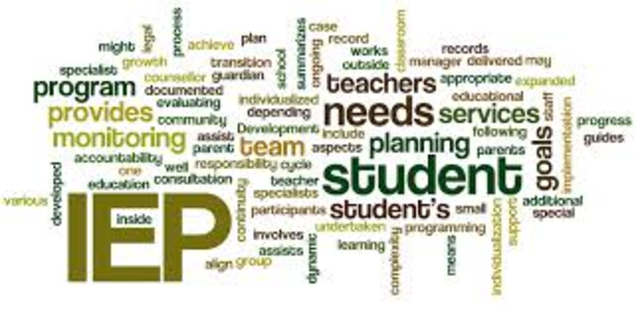 Individualized Education Program (IEP)