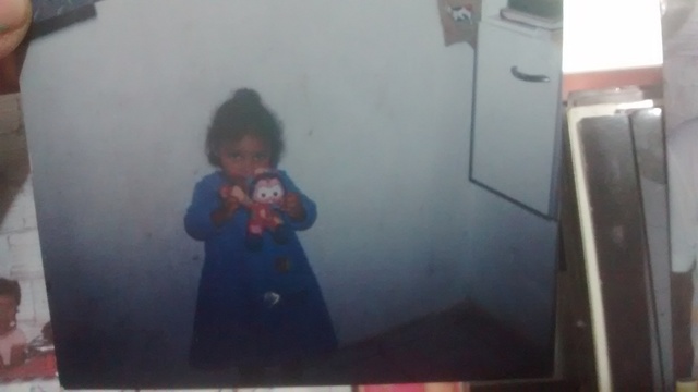 Meu primeiro ursinho