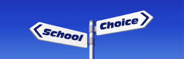 School Choice Movement: Charter Schools, Vouchers