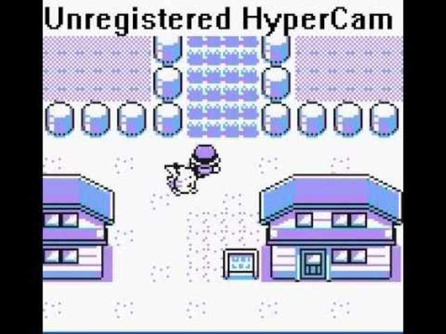 Sale a la venta Pokemón