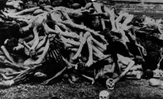 3 - 4 DE NOVIEMBRE DE 1943