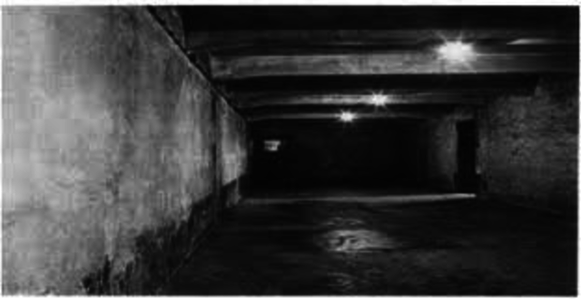 25 DE NOVIEMBRE DE 1944