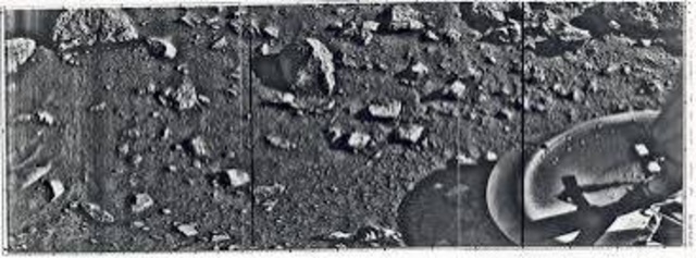 First Images of Mars