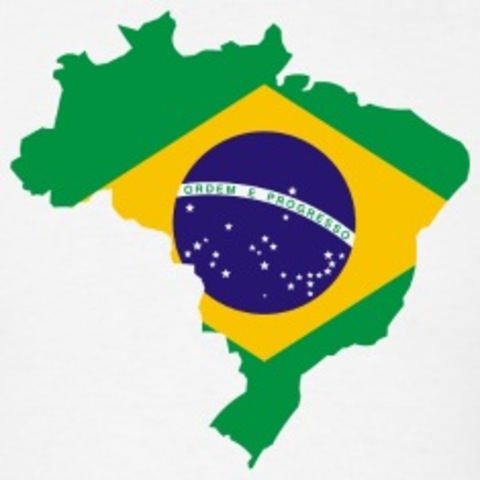 My family and I immigrate to the United States from Brasil