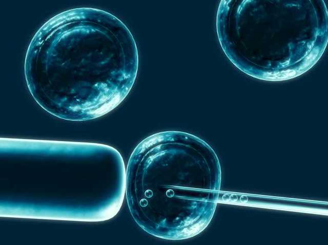 The first stem cells are cultured from the remains of aborted embryos