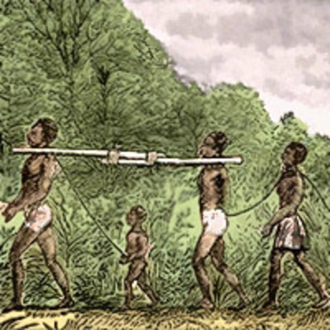 Trinagelhandeln fick en stor spridning