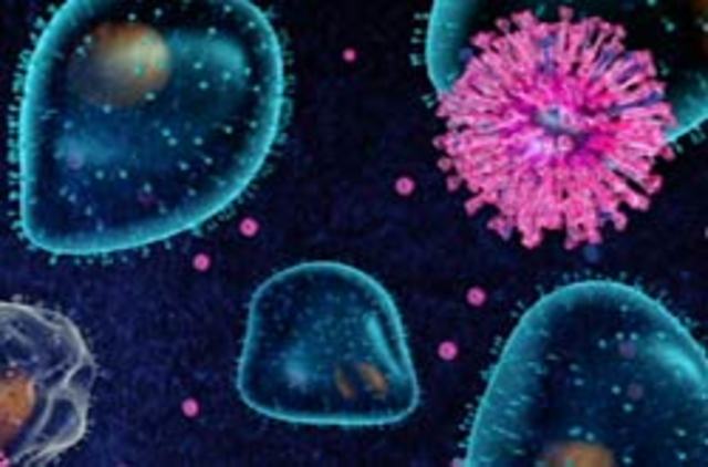 The Sars Outreak/ The first infrared fever screening system