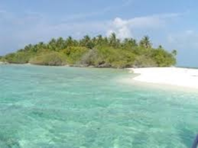 What did she do with it?