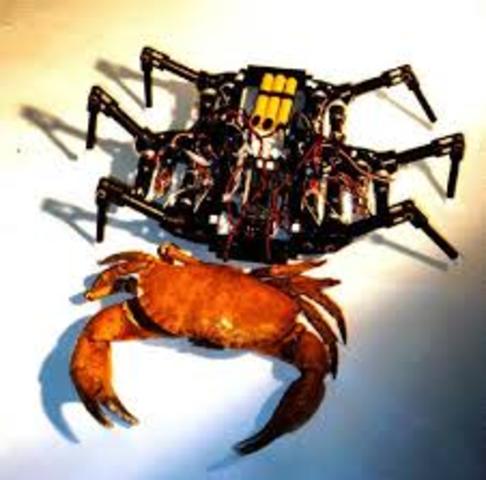 Ariel - Surf Zone Mine Detector