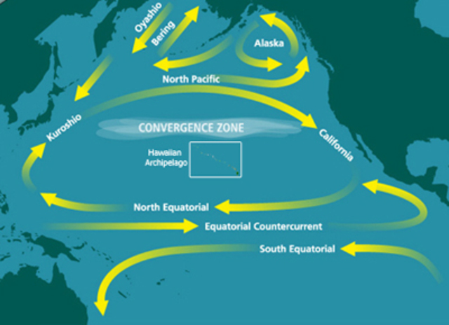Pacific Gyre Garbage Patch