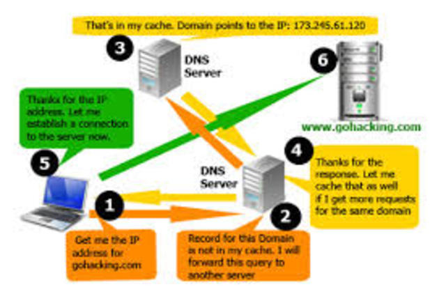 domain name server