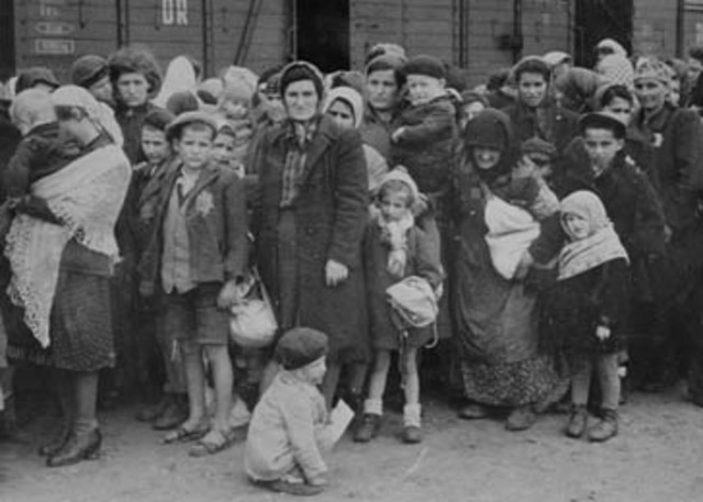 Arrives In Birkenau - Auschwitz