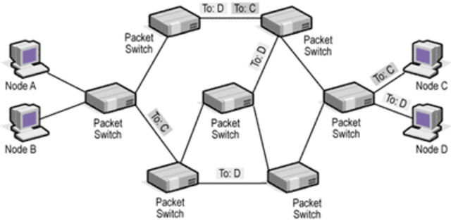 Donald Davies Packet-switching
