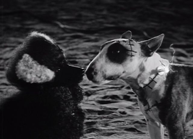 Frankenweenie
