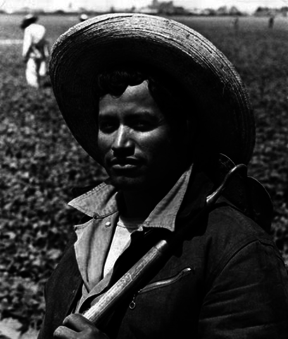 The Bracero Program (1942-1964