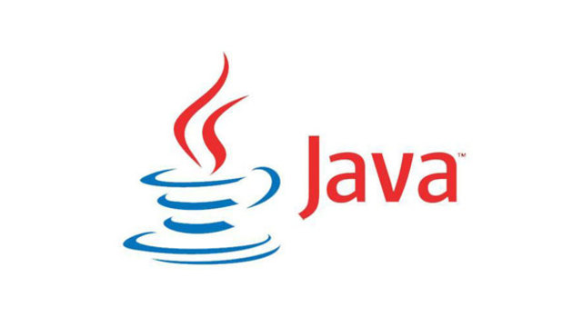 Java's first public demonstration
